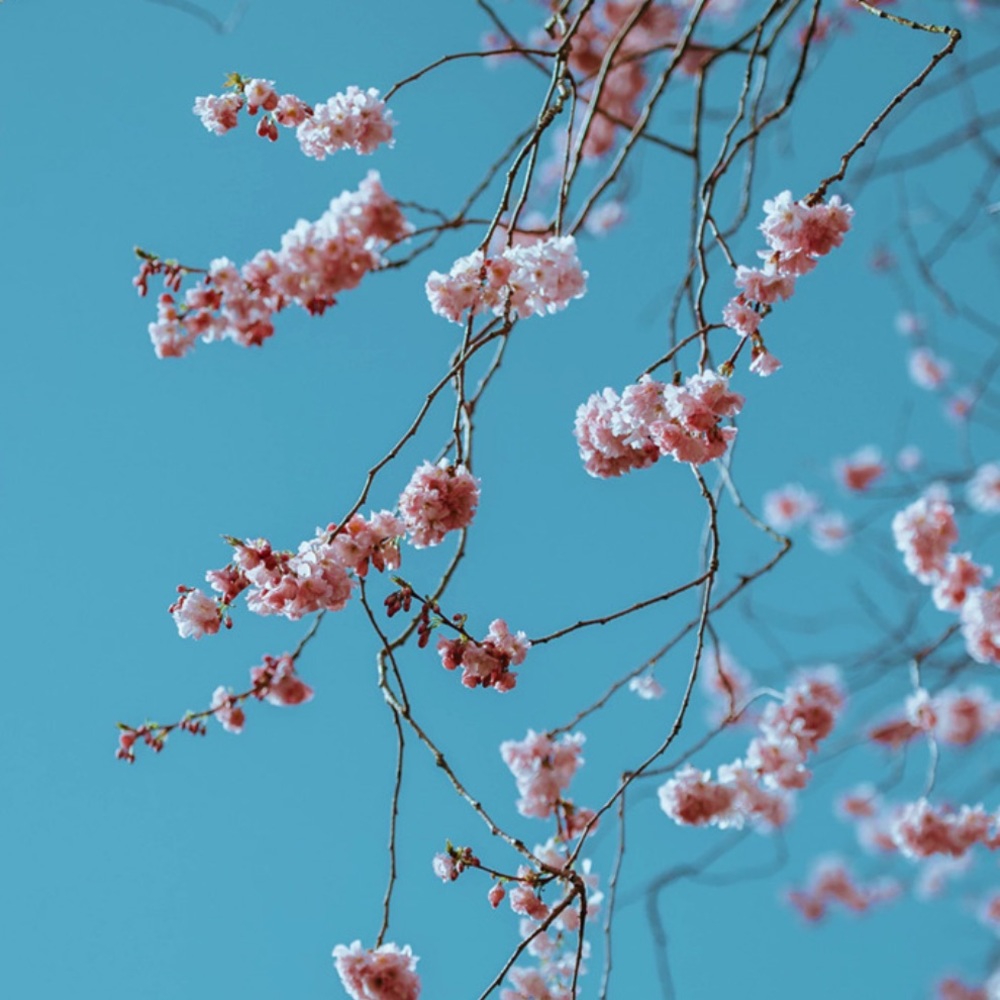 Meet your Posher, Ana